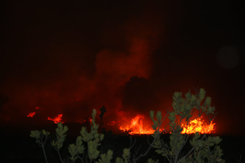 fire in the rooibos growing region