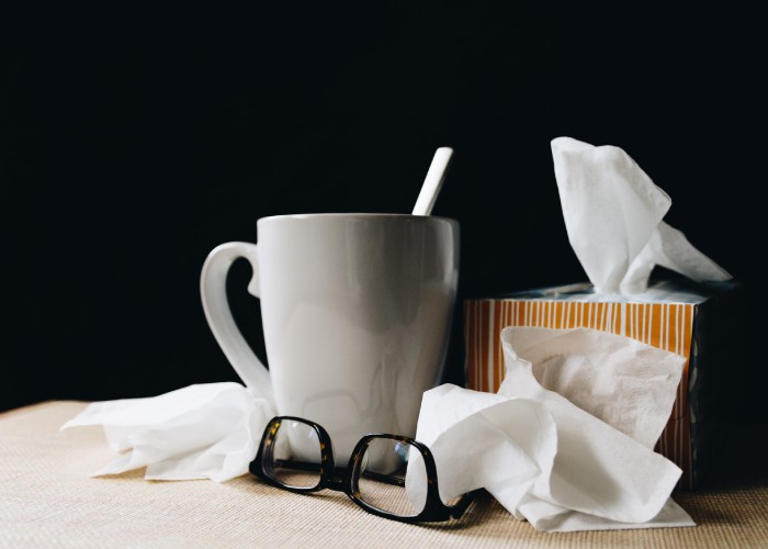 rooibos tea helps with flu