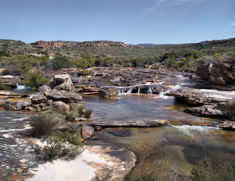 pristine cederberg wilderness klipopmekar rooibos farm