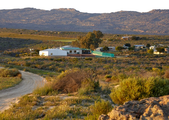 view of a rooibos farm