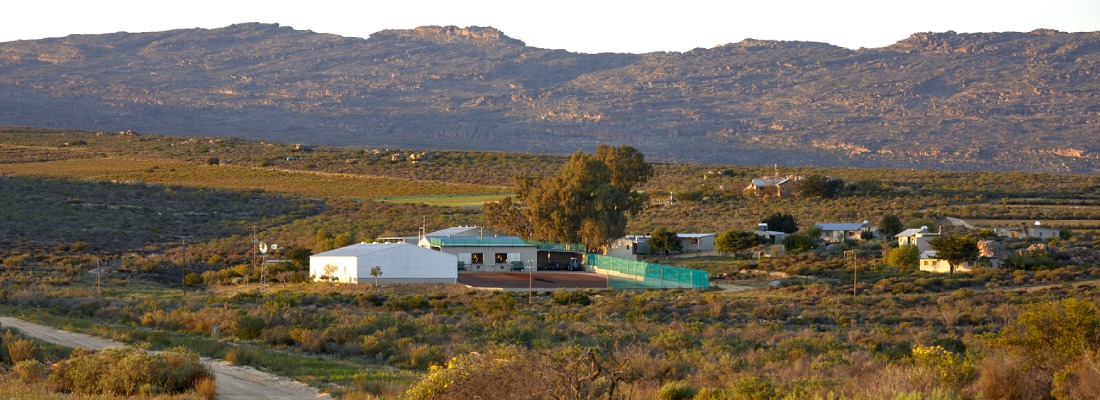 view of rooibos farm