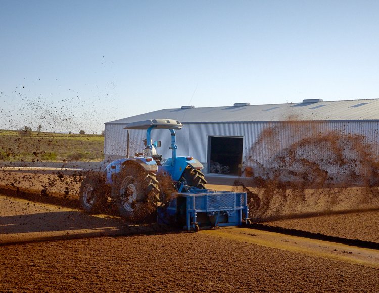a tractor driving in a rooibos tea court