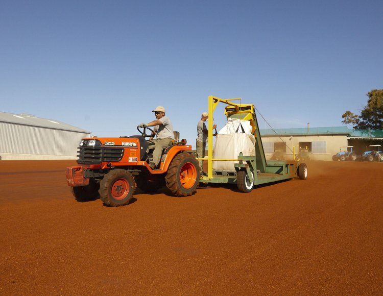 bulk rooibos tea being packaged in tea court