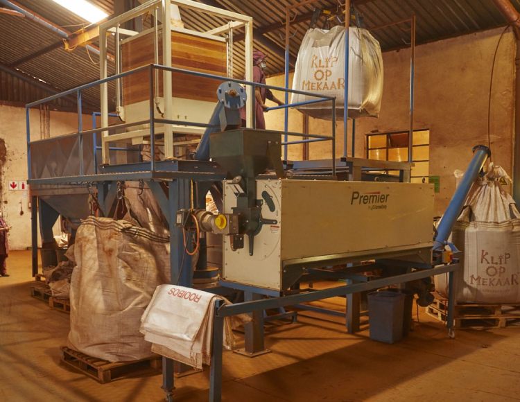 inside a rooibos processing facility