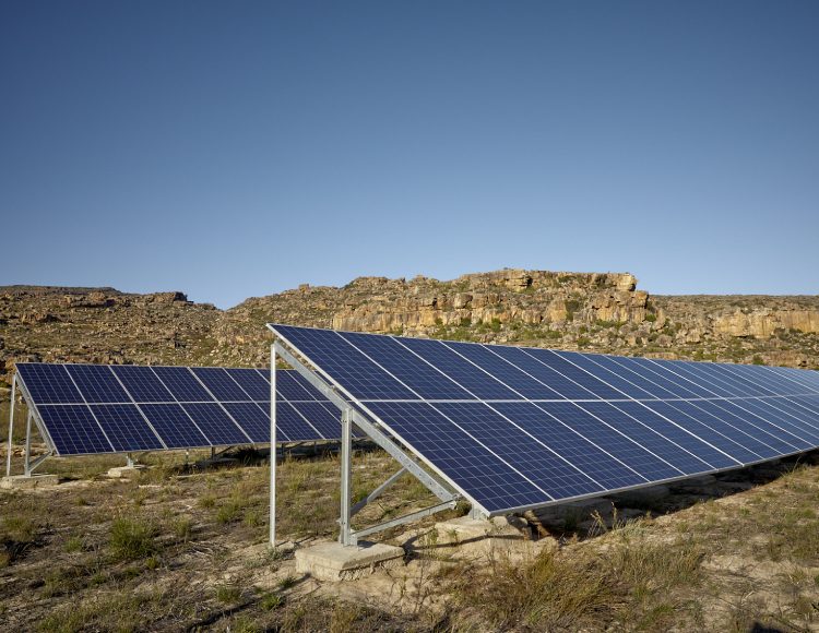 solar panels at organis rooibos farm cederberg south africa