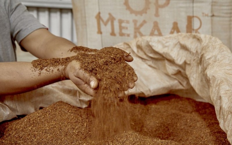 red rooibos tea cuttings being cupped by hands