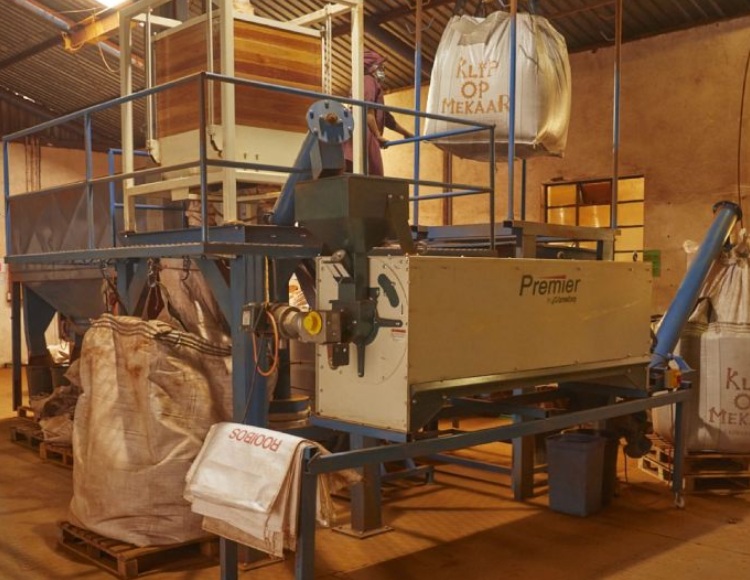 inside a rooibos production facility