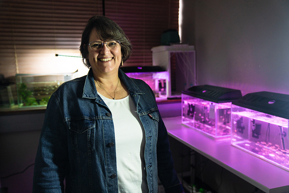 Prof Carine Smith in zebrafish lab_photo by Damien Schumann