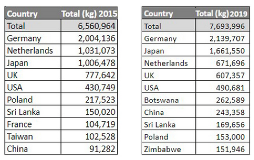 Rooibos Marketplace Stats