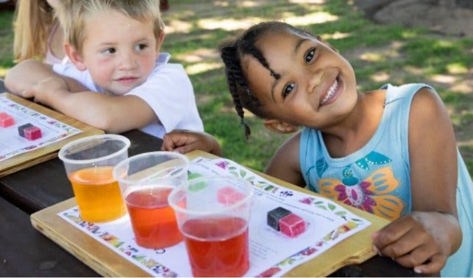 Kids enjoying healthy rooibos beverage