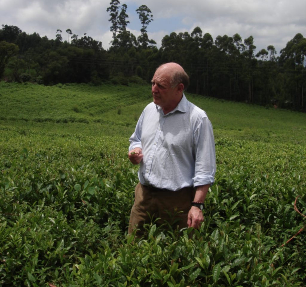 Bruce Ginsberg rooibos pioneer