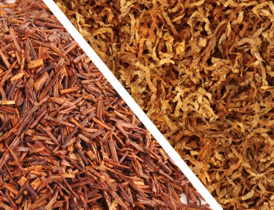 Rooibos used as tobacco replacement