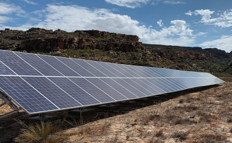 Carbon Net Zero Rooibos Producer