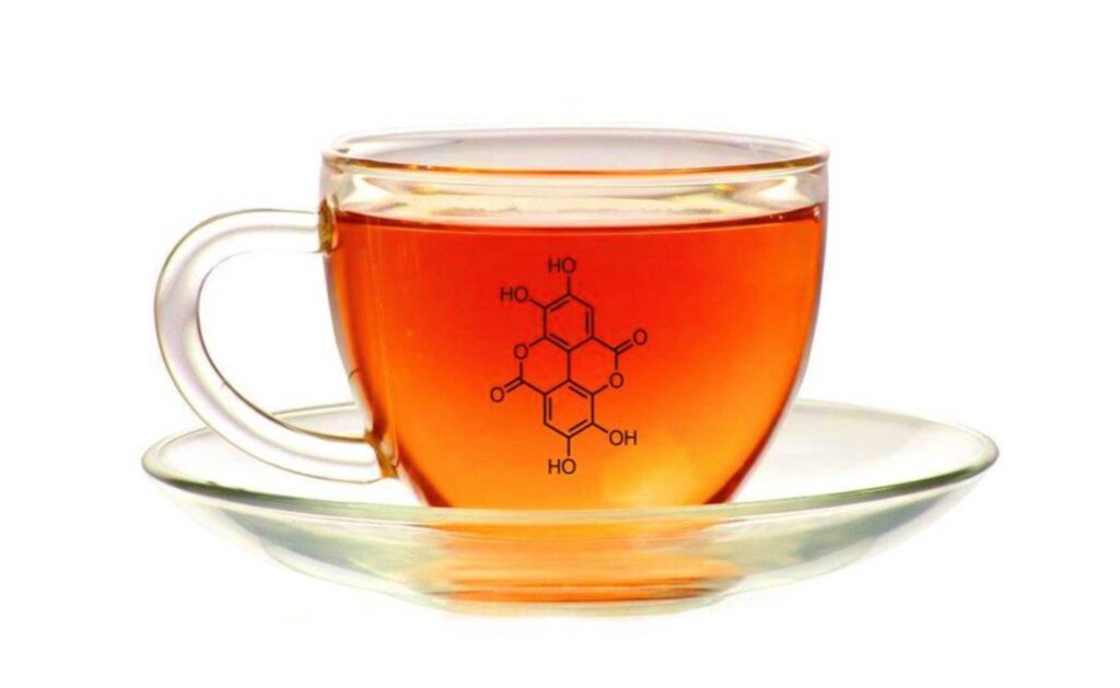 Rooibos tea benefits