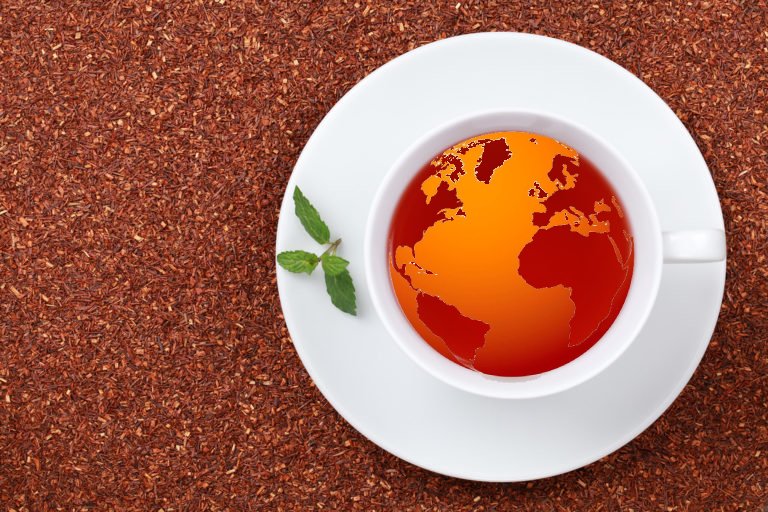 Rooibos World Environment Day 2025