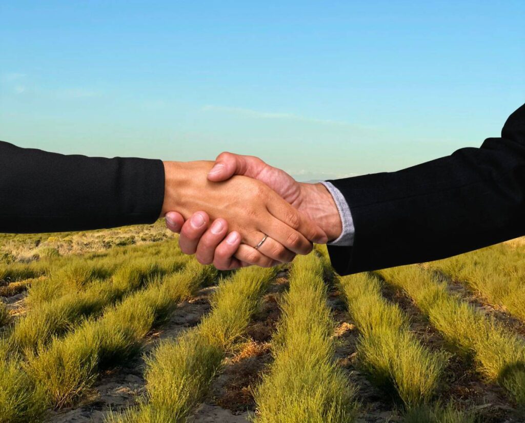 Farmer and tea buyer shaking hands over image of organic rooibos tea fields in the Cederberg region at Klipopmekaar the largest organic rooibos producer in the world