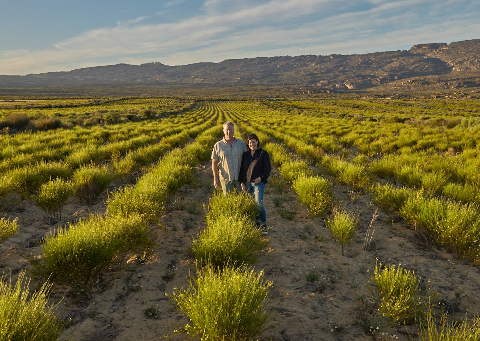 Unpacking Farm to Cup market positioning for Tea Brands offering Rooibos: The Why and the How