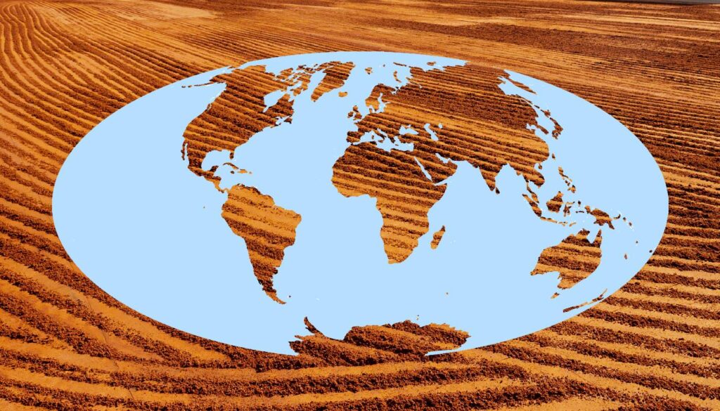 The world with land masses and continents transparent showing rooibos on a tea court in the background to illustrate the benefits of farm to cup rooibos tea