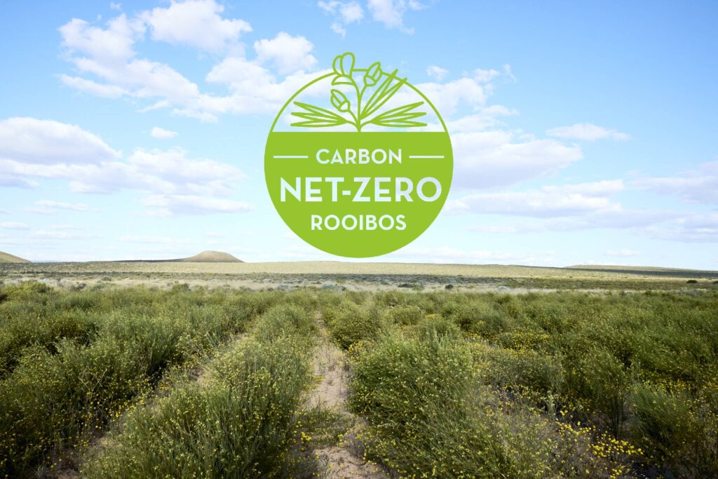 Carbon net zero rooibos from Klipopmekaar