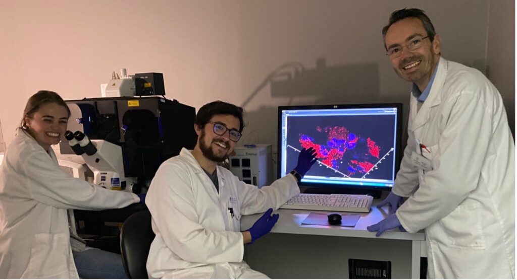 Stellenbosch Rooibos Research