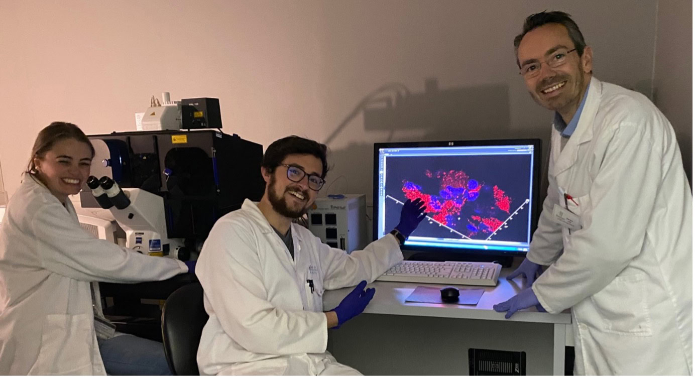 Research Identifies Simple Rituals Like Drinking Rooibos to Help Rewire Focus in a Distracted World