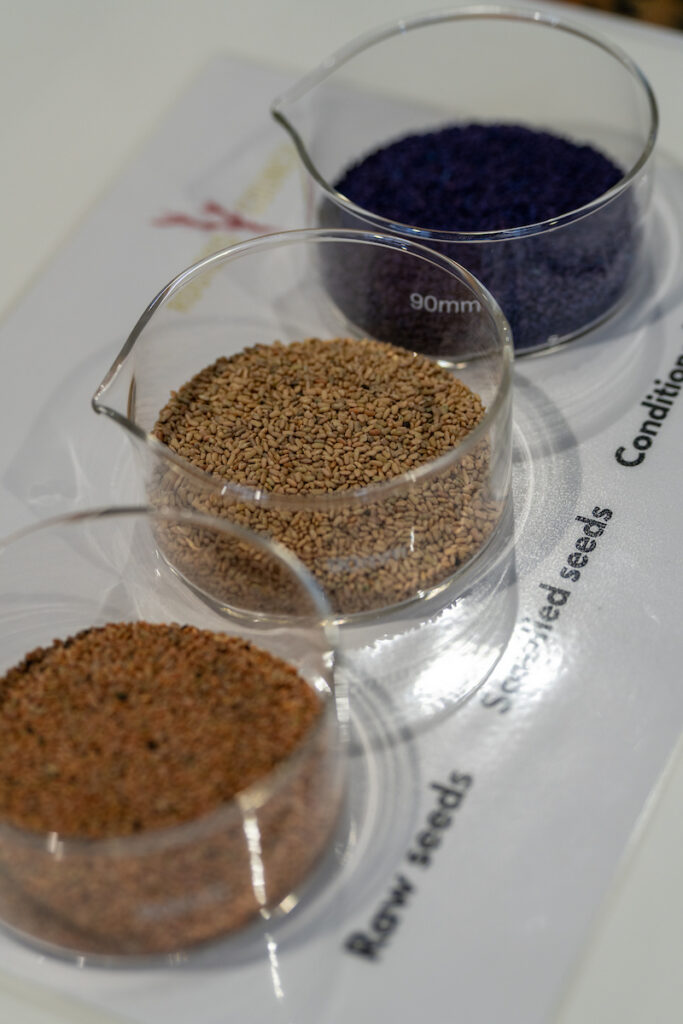 Rooibos research seeds