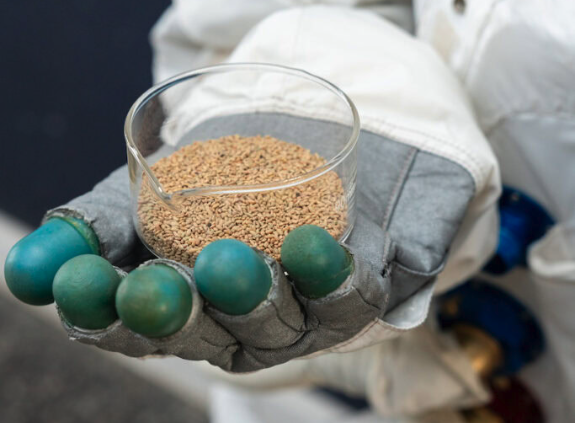 Rooibos seeds go into space